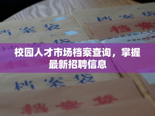 校园人才市场档案查询，掌握最新招聘信息
