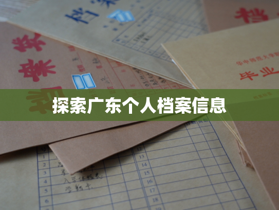 探索广东个人档案信息