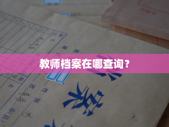 教师档案在哪查询？
