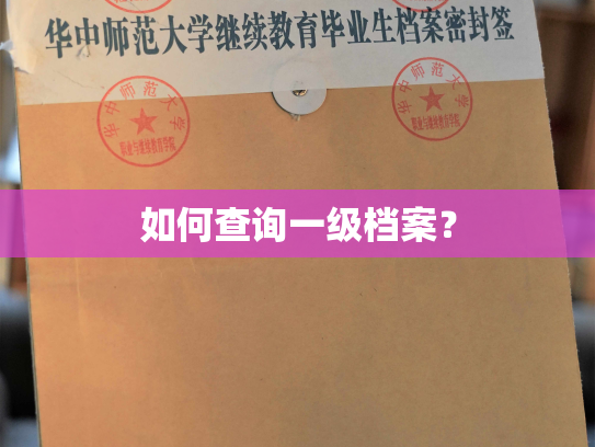 如何查询一级档案？