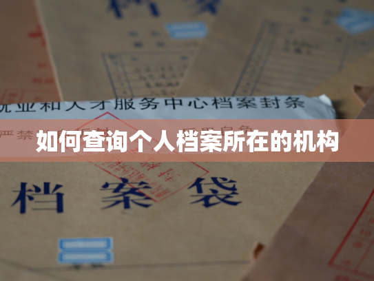 如何查询个人档案所在的机构