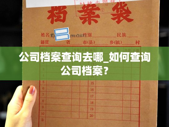 公司档案查询去哪_如何查询公司档案？