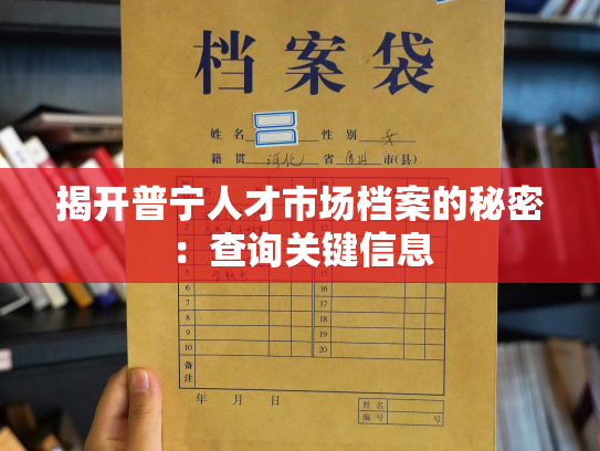 揭开普宁人才市场档案的秘密：查询关键信息