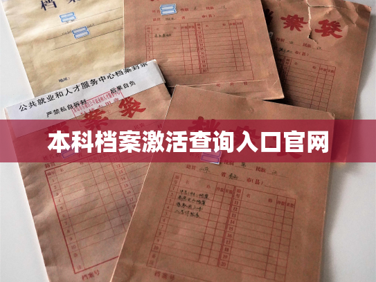 本科档案激活查询入口官网