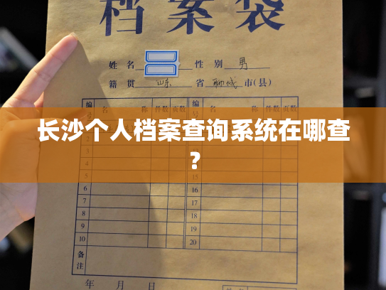 长沙个人档案查询系统在哪查？