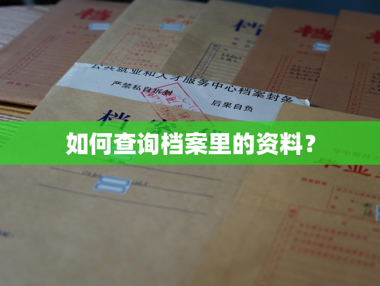 如何查询档案里的资料？
