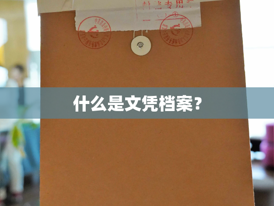 什么是文凭档案？