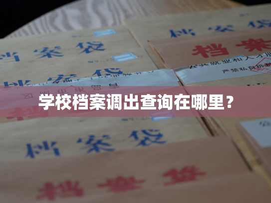 学校档案调出查询在哪里？