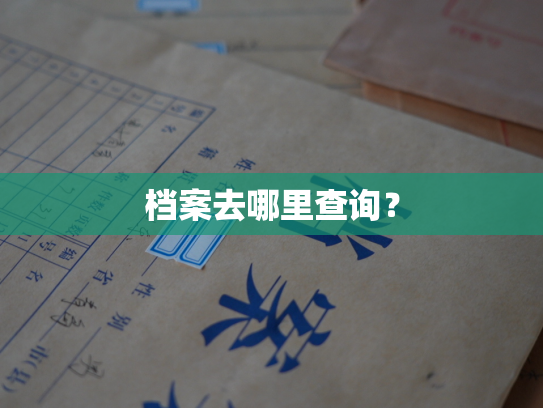 档案去哪里查询？