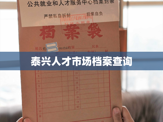 泰兴人才市场档案查询