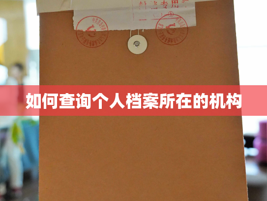 如何查询个人档案所在的机构