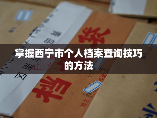 掌握西宁市个人档案查询技巧的方法