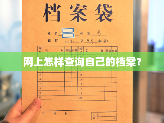 网上怎样查询自己的档案？