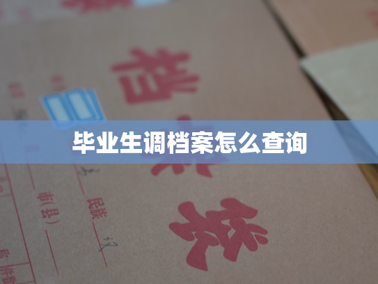 毕业生调档案怎么查询