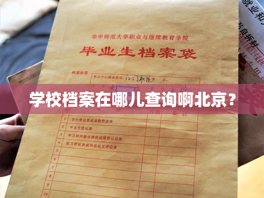 学校档案在哪儿查询啊北京？
