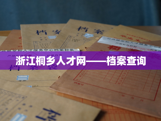 浙江桐乡人才网——档案查询