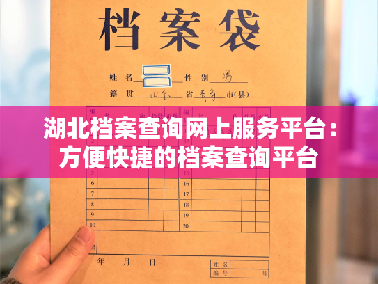 湖北档案查询网上服务平台：方便快捷的档案查询平台
