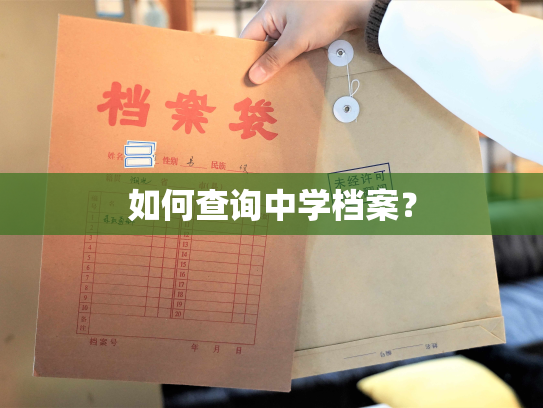 如何查询中学档案？