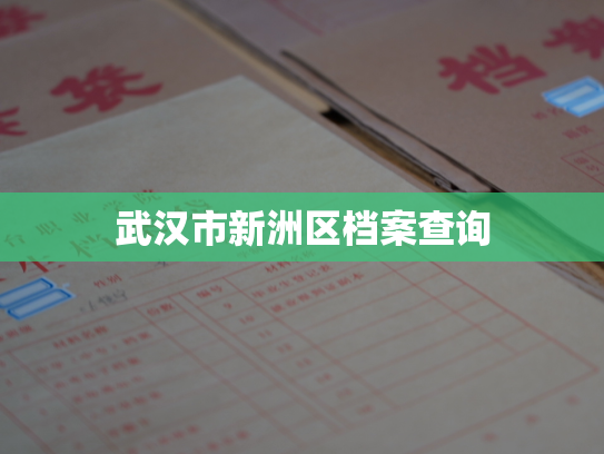 武汉市新洲区档案查询