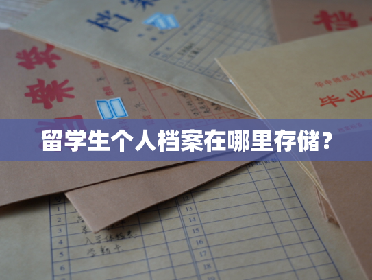 留学生个人档案在哪里存储？