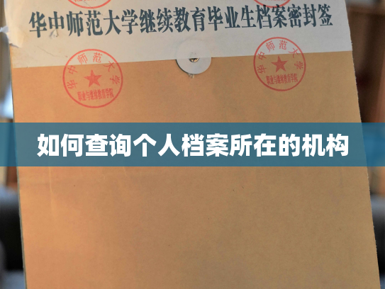 如何查询个人档案所在的机构