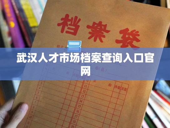 武汉人才市场档案查询入口官网