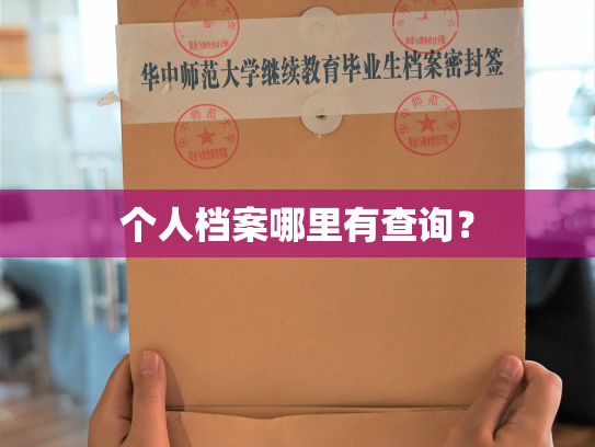 个人档案哪里有查询？