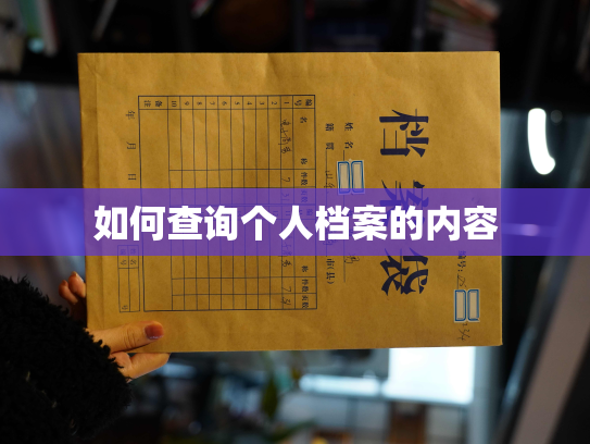 如何查询个人档案的内容