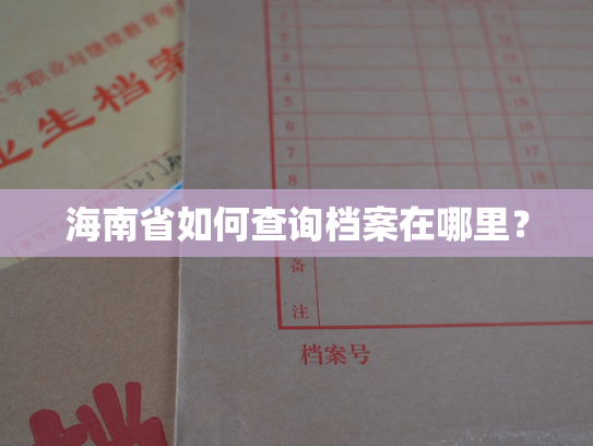 海南省如何查询档案在哪里？