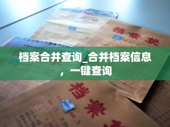 档案合并查询_合并档案信息，一键查询