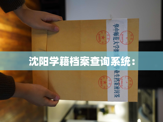 沈阳学籍档案查询系统：