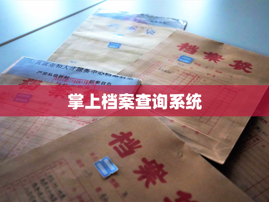掌上档案查询系统