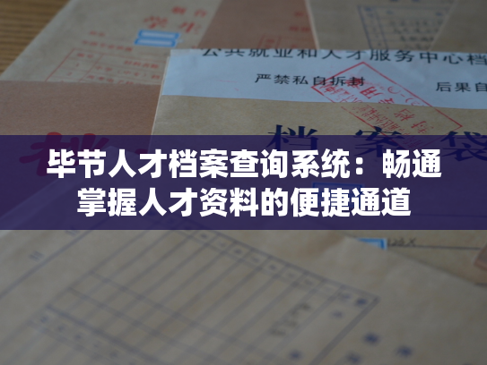 毕节人才档案查询系统：畅通掌握人才资料的便捷通道