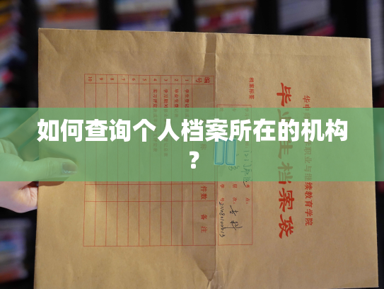 如何查询个人档案所在的机构？