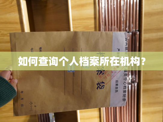 如何查询个人档案所在机构？