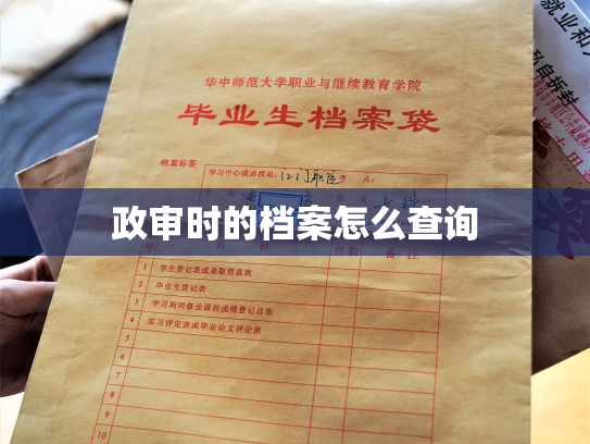 政审时的档案怎么查询