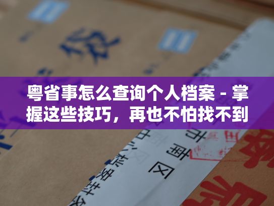 粤省事怎么查询个人档案 - 掌握这些技巧，再也不怕找不到个人档案！