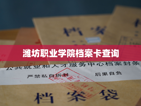潍坊职业学院档案卡查询