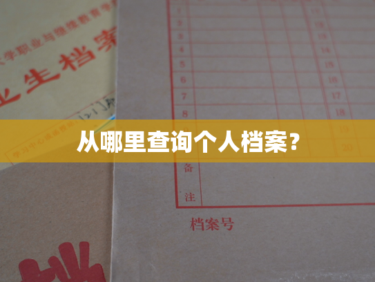 从哪里查询个人档案？