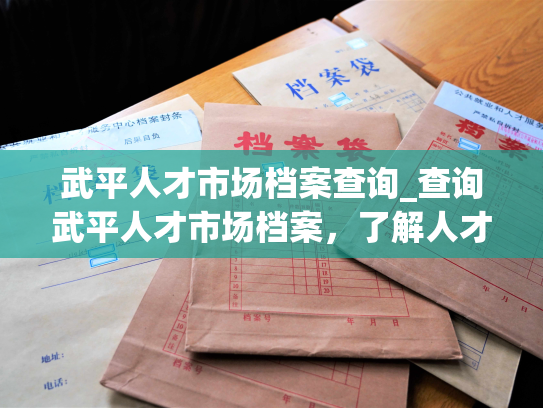 武平人才市场档案查询_查询武平人才市场档案，了解人才信息。