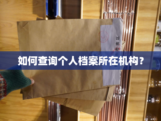 如何查询个人档案所在机构？