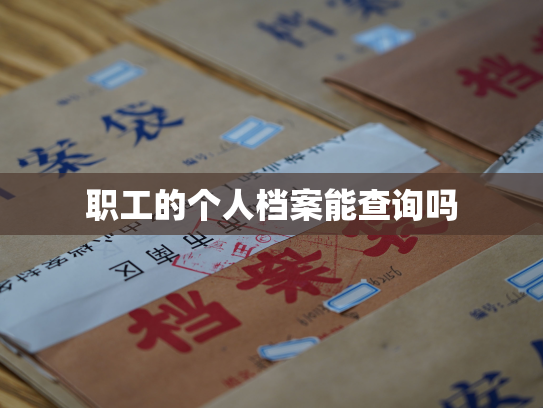 职工的个人档案能查询吗
