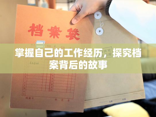 掌握自己的工作经历，探究档案背后的故事