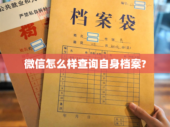 微信怎么样查询自身档案?