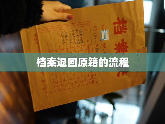 档案退回原籍的流程