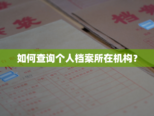 如何查询个人档案所在机构？