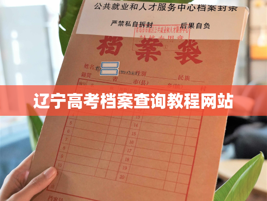 辽宁高考档案查询教程网站