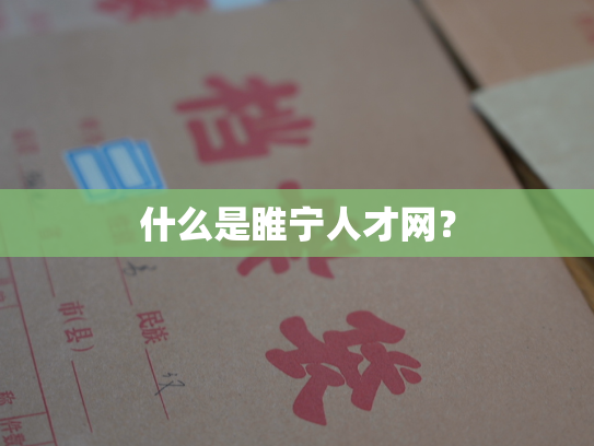 什么是睢宁人才网？