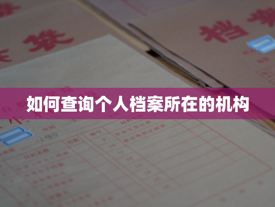 如何查询个人档案所在的机构