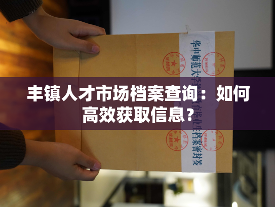 丰镇人才市场档案查询：如何高效获取信息？